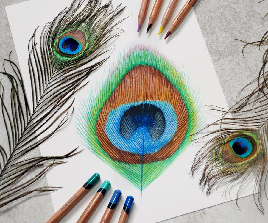 How to Draw with Coloured Pencils - Fine Art Tutorials