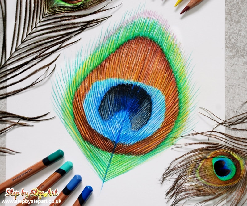 https://www.stepbystepart.co.uk/uploads/8/0/5/5/8055393/peacock-feather-drawn-in-derwent-lightfast-coloured-pencils_orig.jpg